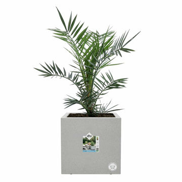 Plant pot Elho White Ø 29,5 cm Plastic Squared Modern