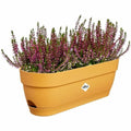 Planter Elho   50 cm Plastic