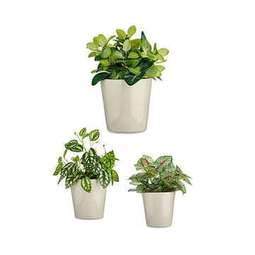 Set of pots Ibergarden CONICO-7044 Grey Clay Cónica Ø 14 cm Ø 22 cm Ø 17 cm 3 Pieces