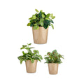 Set of pots Ibergarden CONICO-1019 Beige Clay Cónica Ø 14 cm Ø 22 cm Ø 17 cm 3 Pieces