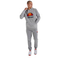 Sweat à capuche homme Ellesse Dahryl OH Gris clair