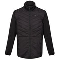 Veste de Sport pour Homme Regatta Clumber III Hybrid Noir