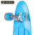 Skateboard Colorbaby Blue (2 Units)