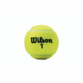 Balles de Tennis Wilson Championship XD  (3 pcs)
