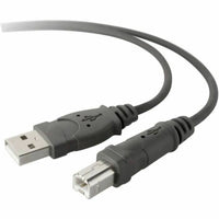 Kabel USB 2.0 Belkin F3U154BT3M Tiskalnik 3 m Črna Siva