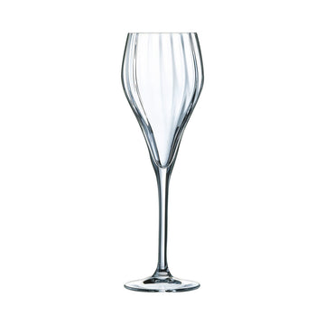Set skodelic Chef & Sommelier Symetrie Šampanjec Prozorno 6 kosov Steklo 160 ml
