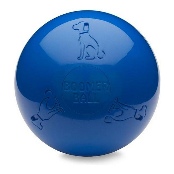 Giocattoli per cani Company of Animals Boomer Azzurro (250mm)