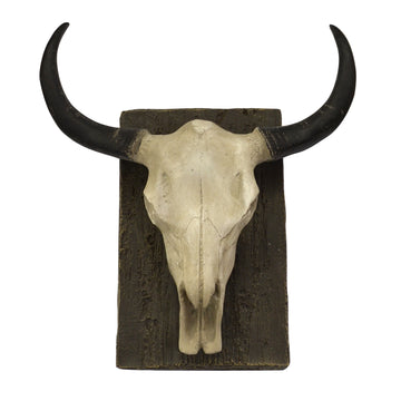 Steer Skull  Wall Mount