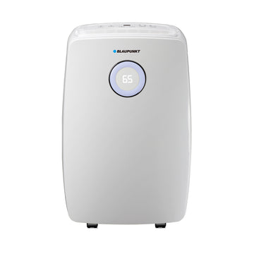 Dehumidifier with air purification function