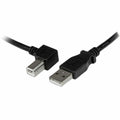 Cavo USB A con USB B Startech USBAB2ML             Nero