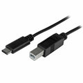 Kabel USB C v USB B Startech USB2CB2M Črna 2 m Pisana