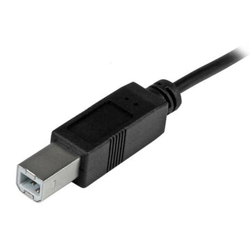 USB C to USB B Cable Startech USB2CB2M             (2 m) Black