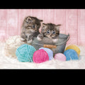 Sweet Kittens puzzle 104pcs