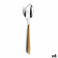 Spoon Amefa Eclat 21 cm Metal Bicoloured (Pack 6x)