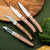 Set nožev Amefa Forest Wood 4 Kosi