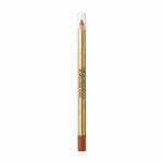 Lip Liner Pencil Colour Elixir Max Factor Nº 20 Coffee Brown (10 g)