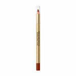 Crayon Contour des Lèvres Colour Elixir Max Factor Nº 025 Brown n Bold (10 g)