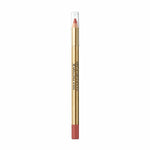 Lip Liner Pencil Colour Elixir Max Factor Nº 010 Desert Sand (10 g)