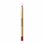 Crayon Contour des Lèvres Colour Elixir Max Factor Nº 070 Deep Berry (10 g)