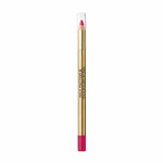 Crayon Contour des Lèvres Colour Elixir Max Factor Nº 45 Rosy Berry (10 g)