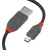 USB-Kabel LINDY 36732 1 m Schwarz