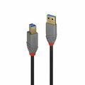 Câble USB LINDY 36744 5 m Noir Gris