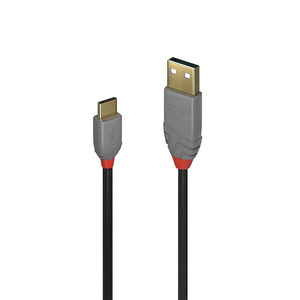 Câble USB A vers USB C LINDY 36887 Noir 2 m