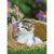 Sestavljanka Puzzle Ravensburger Kittens 2 x 500 Kosi