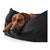 Dog Sofa Hunter Gent Black 80x60 cm