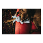Dog toy Hunter Terni Grey Rabbit