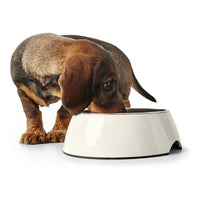 Dog Feeder Hunter Melamin Stainless steel White 160 ml (14,5 x 14,5 x 7 cm)