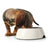 Ciotola per cani Hunter Melammina Acciaio inossidabile Bianco 160 ml (14,5 x 14,5 x 7 cm)