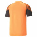 Men's Short-sleeved Football Shirt Puma Individual Cup Training