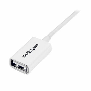 Câble USB Startech USBEXTPAA1MW         Blanc