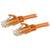 UTP Category 6 Rigid Network Cable Startech N6PATC1MOR           1 m