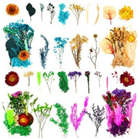 Decorative Flowers (Refurbished D)