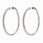 Ladies'Earrings Folli Follie 3E18S024C (3,5 cm)