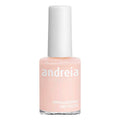 vernis à ongles Andreia Professional Hypoallergenic Nº 48 (14 ml)