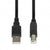 USB A to USB B Cable Ibox IKU2D Black 3 m