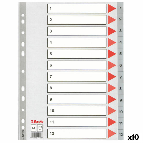 Estrattori Esselte Numerato Grigio A4 12 Fogli (10 Unità)