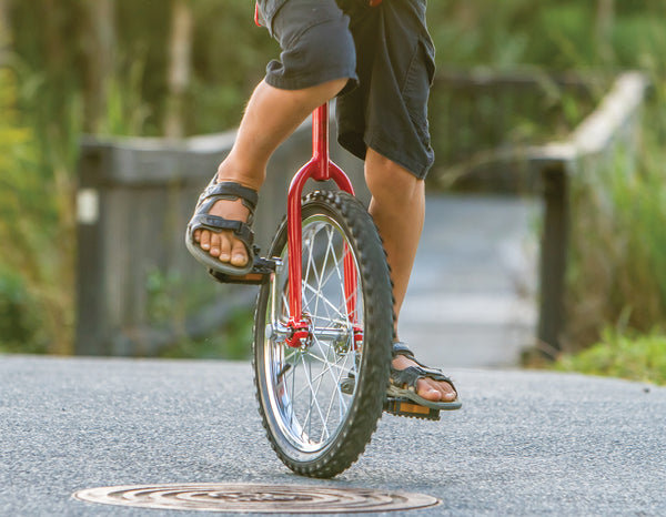 24'' Pro Circus Unicycle Bike