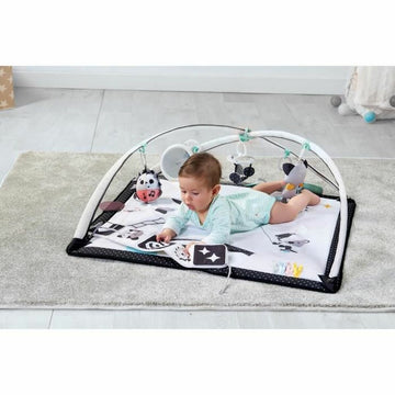 Activity Arch for Babies Tiny Love