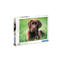 Chocolate Puppy High Quality puzzle 500pcs