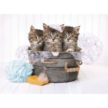 Kittens and Soap puzzle 500pcs