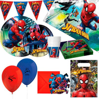 Komplet dodatkov za zabavo Spider-Man 66 Kosi