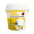 Peinture Titan 4 L Blanc