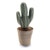 Door stop Cactus Polyester Fusion (12 x 34 x 12 cm)