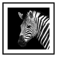 Painting Zebra Crystal (2 x 50 x 50 cm)