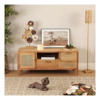 TV furniture Rattan MDF Wood (40 x 50 x 120 cm)