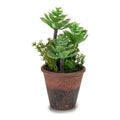 Plante décorative Marron Vert Plastique